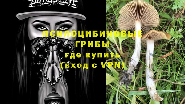 сатива Киреевск