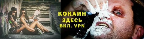 сатива Киреевск