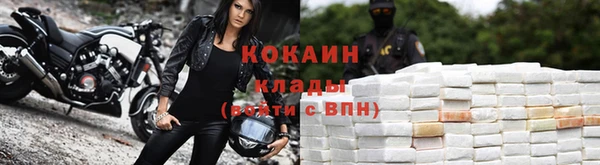 сатива Киреевск