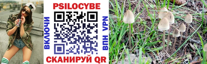 Купить где  Аша  Псилоцибиновые грибы Magic Shrooms 